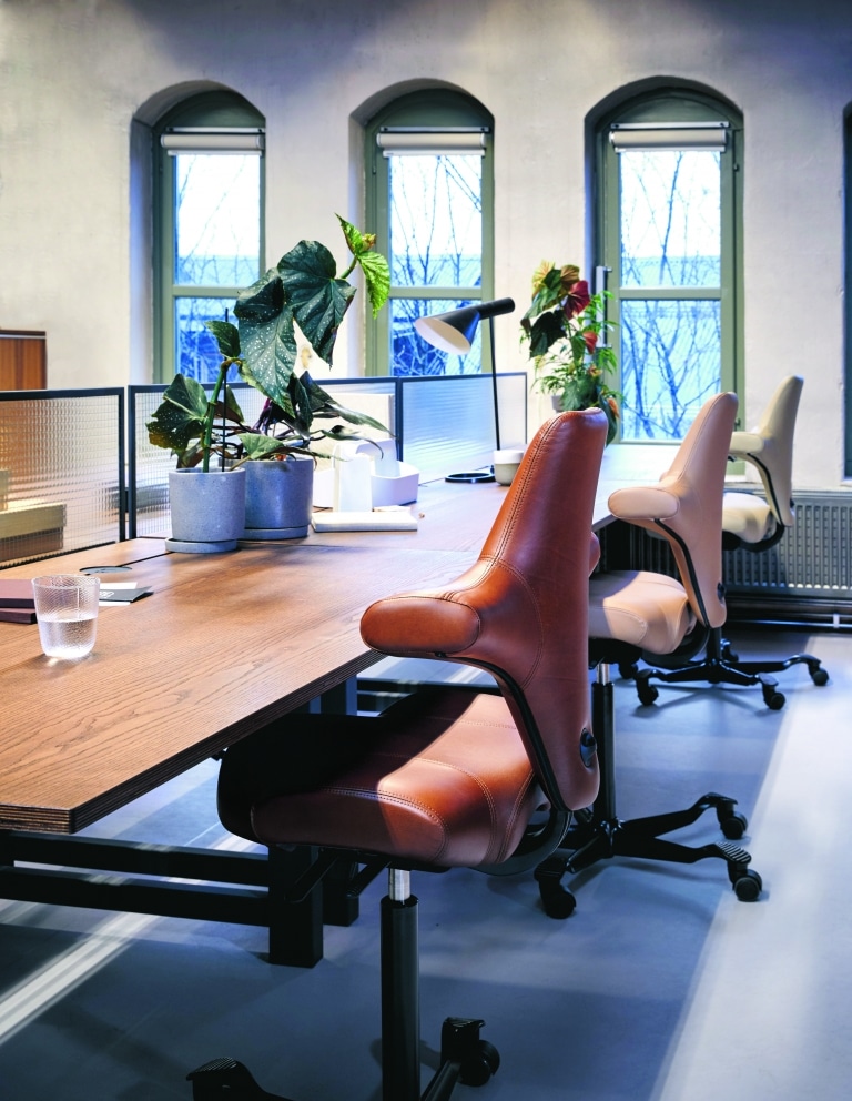 (c) Flokk. HAG_Capisco office chairs with leather from Wollsdorf